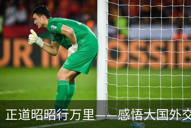 正道昭昭行万里——感悟大国外交的宏阔时空经纬